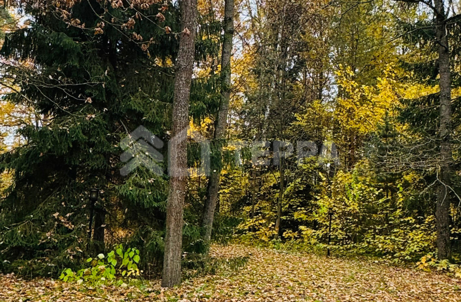 Объект ID 18991 - Участок