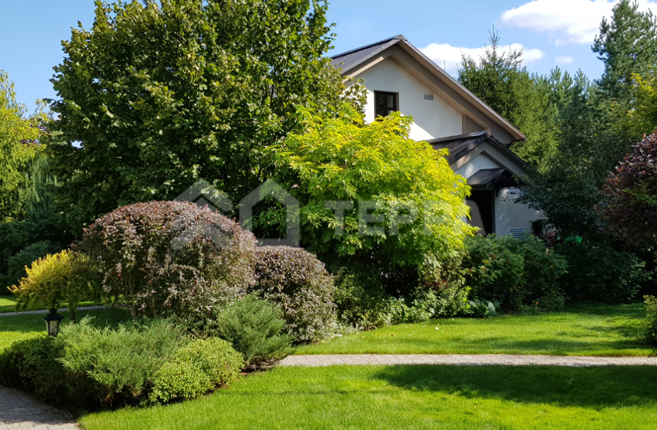 Объект ID 16474 - Дом