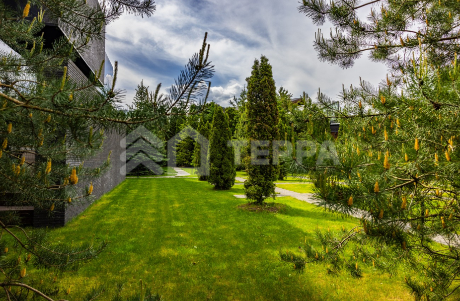 Объект ID 16377 - Дом