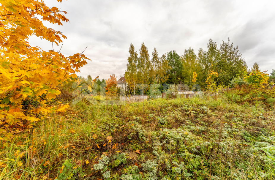 Объект ID 18247 - Участок