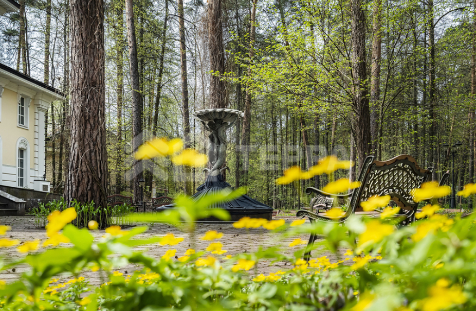 Объект ID 17940 - Дом