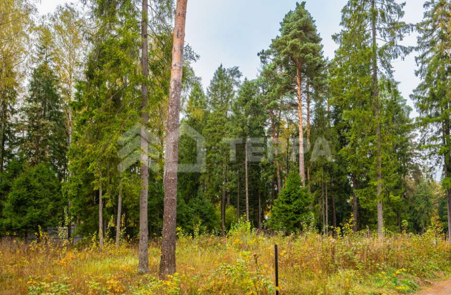 Объект ID 17916 - Участок