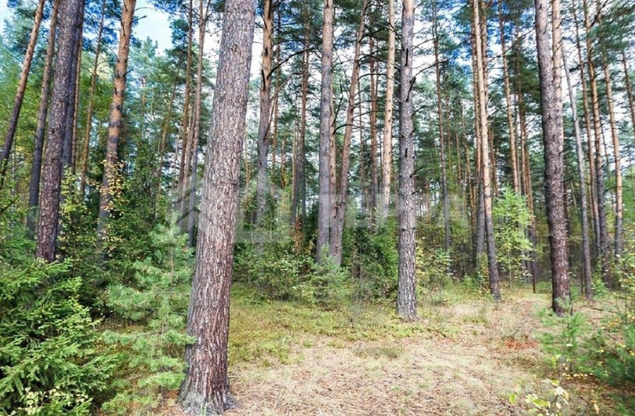 Объект ID 17980 - Участок