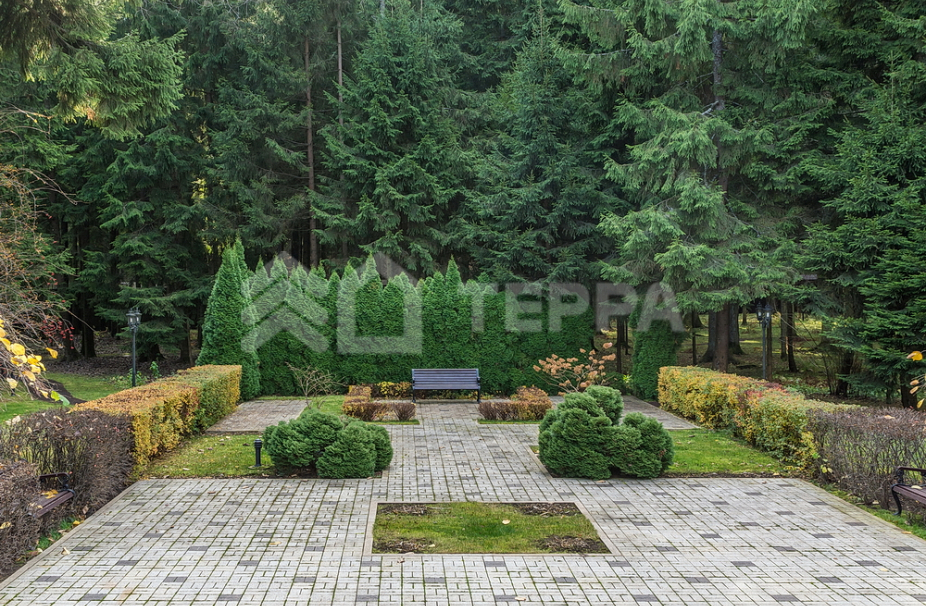 Объект ID 15818 - Дом