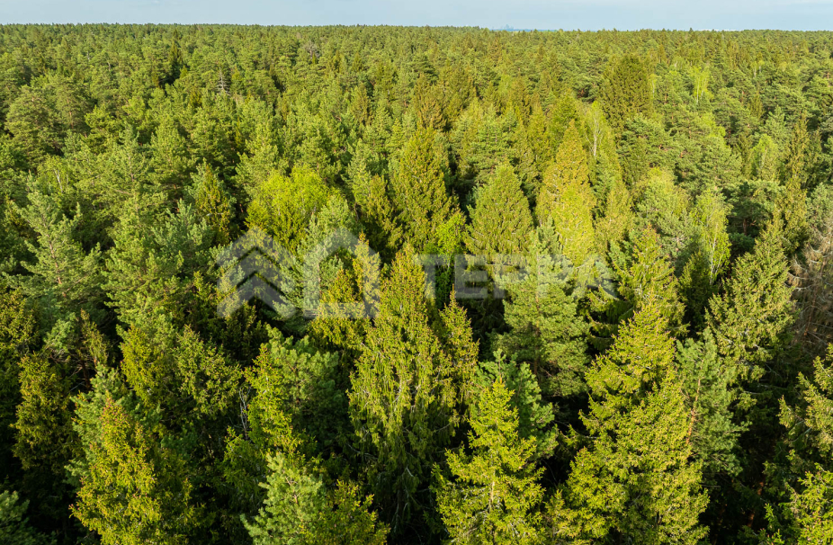 Объект ID 19097 - Участок