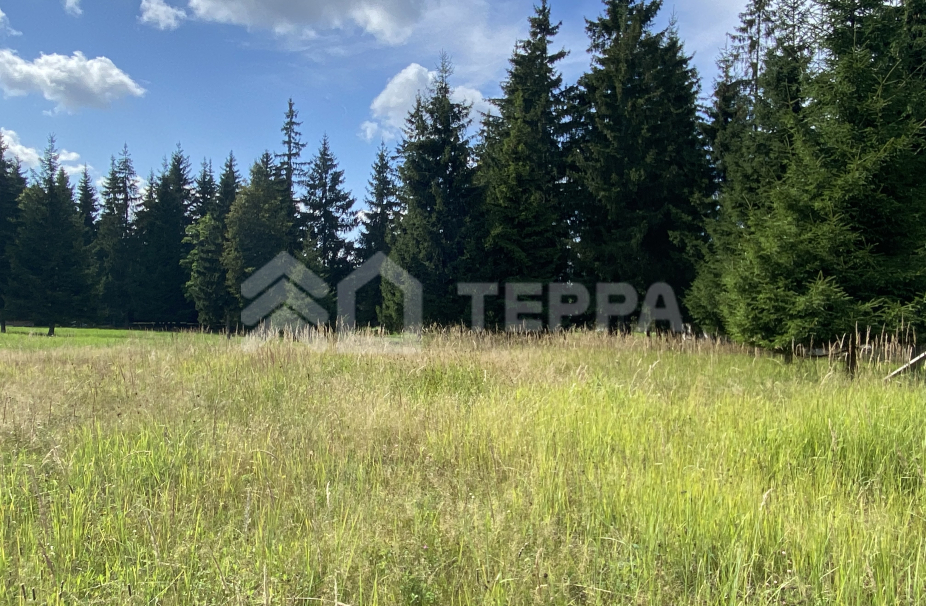 Объект ID 16628 - Участок