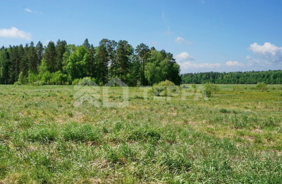 Объект ID 16723 - Участок