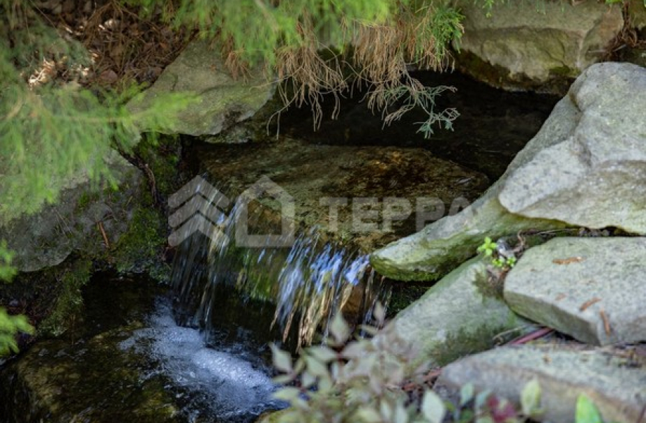 Объект ID 18658 - Участок