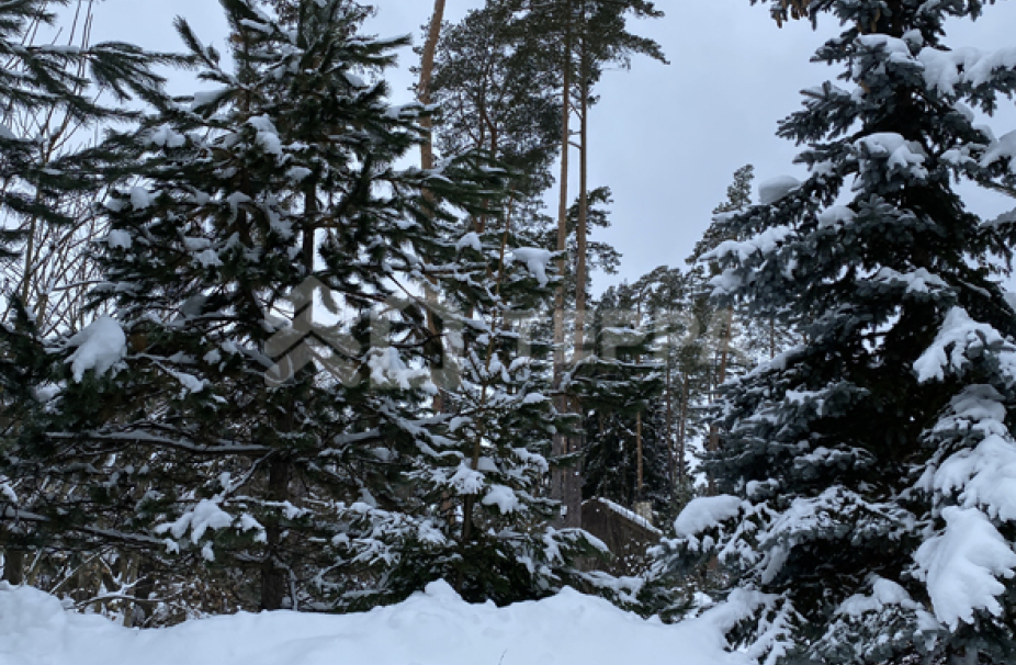 Объект ID 16789 - Участок