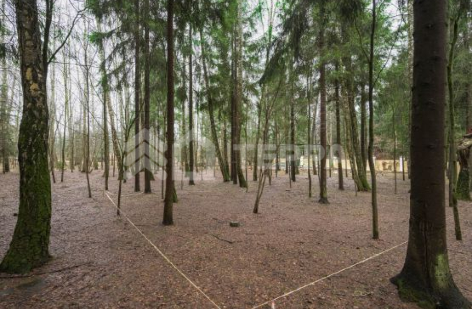 Объект ID 18395 - Участок