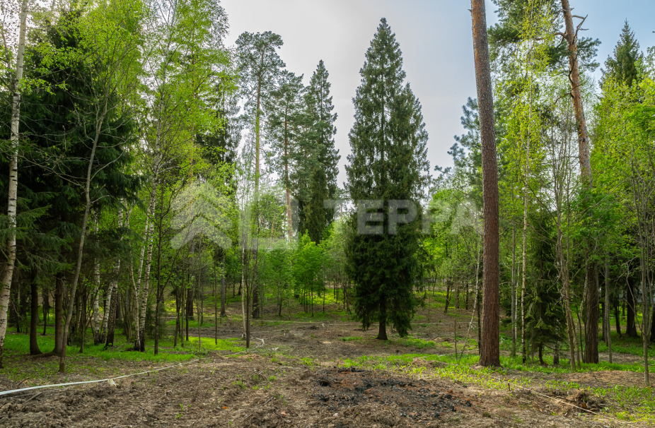 Объект ID 18571 - Участок