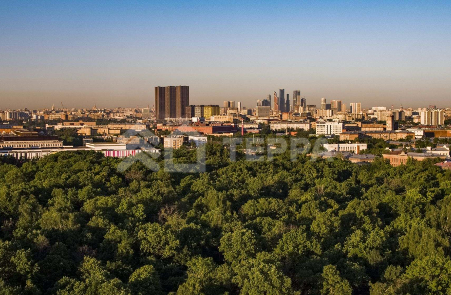 Объект ID 43655 - 