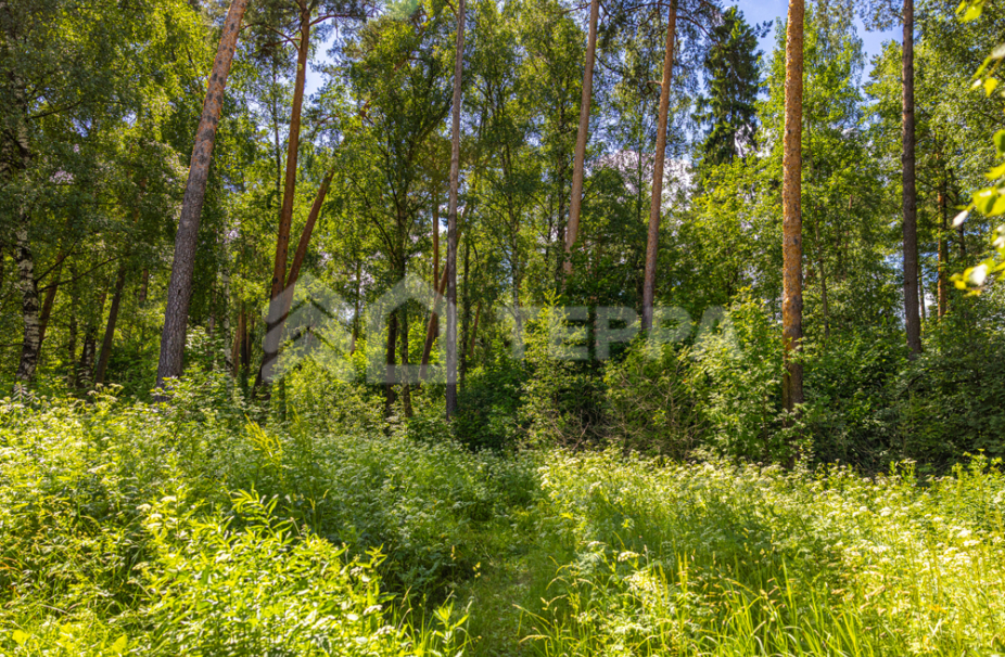 Объект ID 10579 - Участок