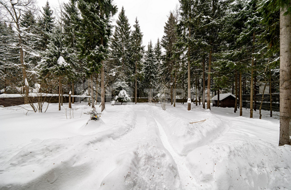 Объект ID 19118 - Дом