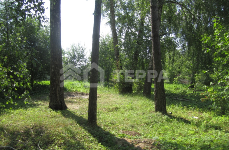 Объект ID 8559 - Участок