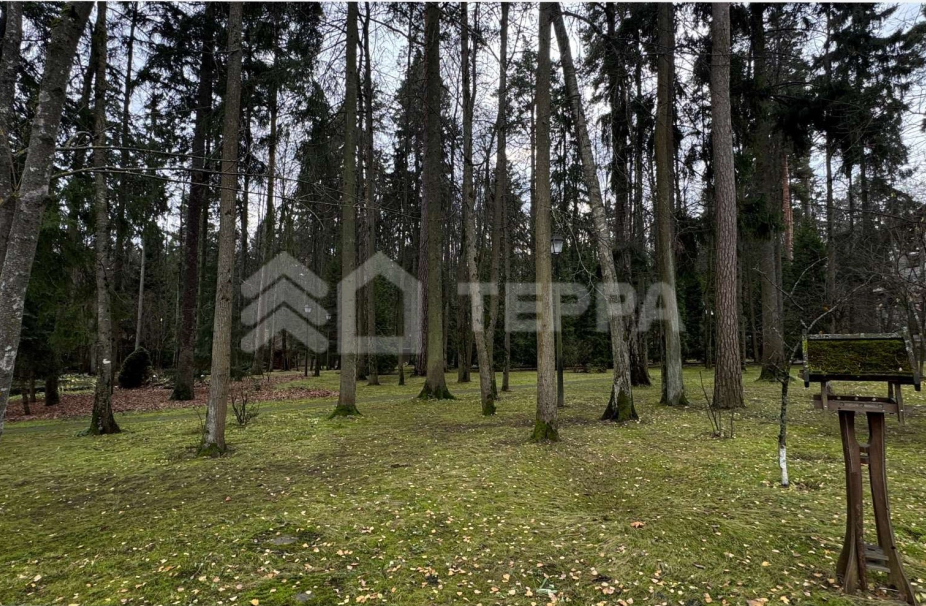 Объект ID 19034 - Участок