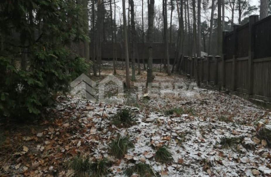 Объект ID 16806 - Участок