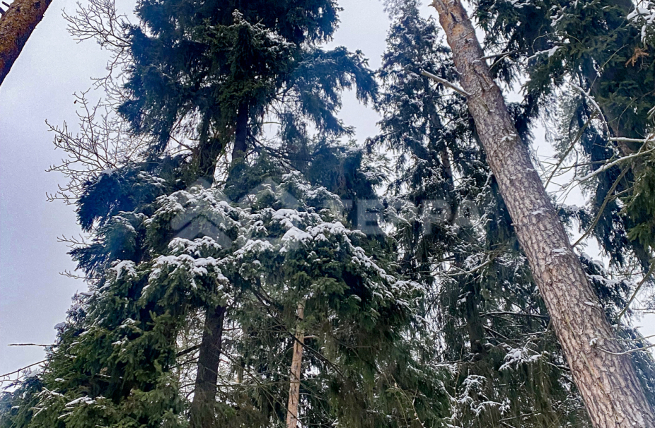 Объект ID 13715 - Дом