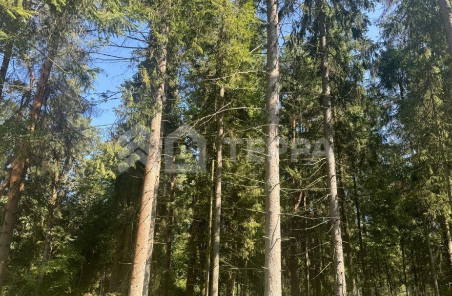 Объект ID 18307 - Участок