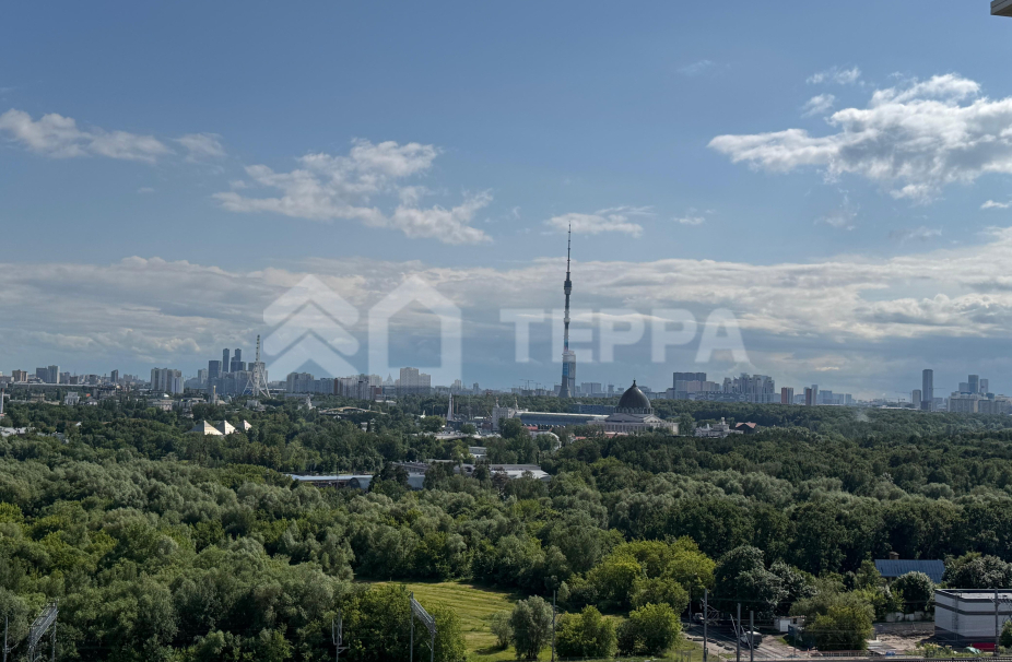 Объект ID 43896 - 