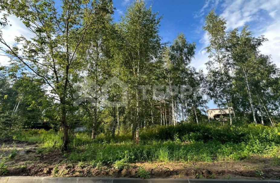 Ильинский ландшафт - 2