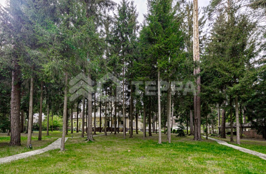 Объект ID 16505 - Дом