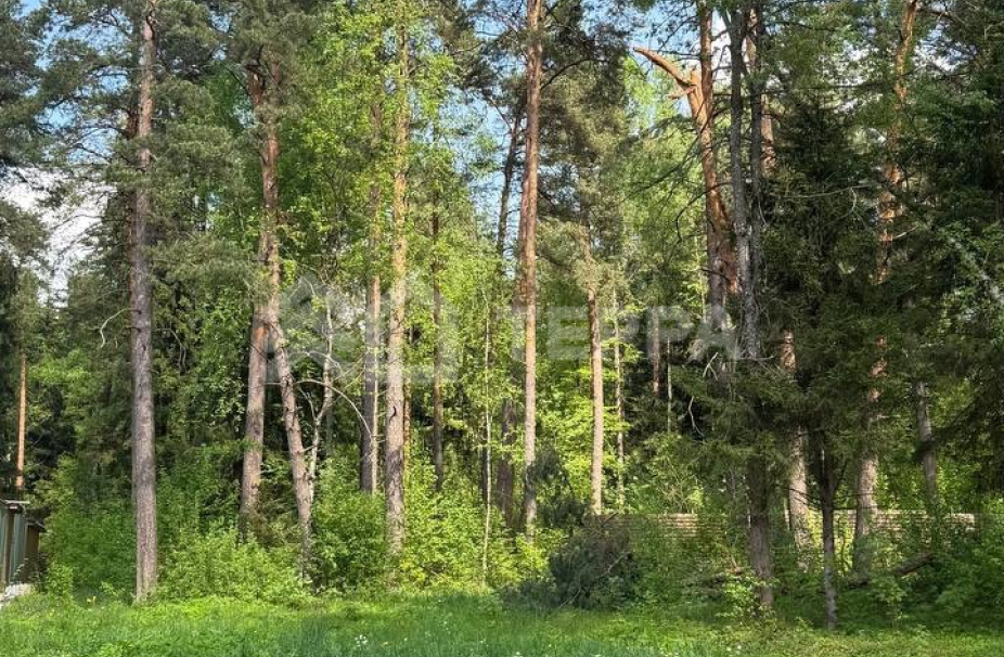 Объект ID 19186 - Участок