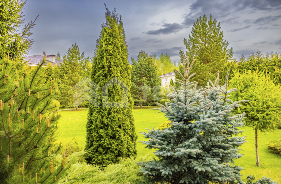 Объект ID 18719 - Дом