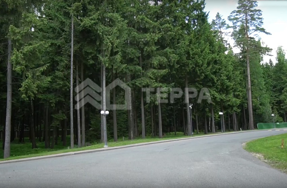 Ваутутинки