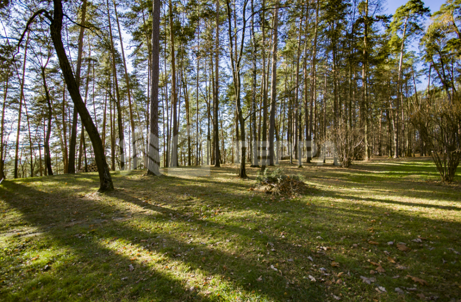 Объект ID 17976 - Участок