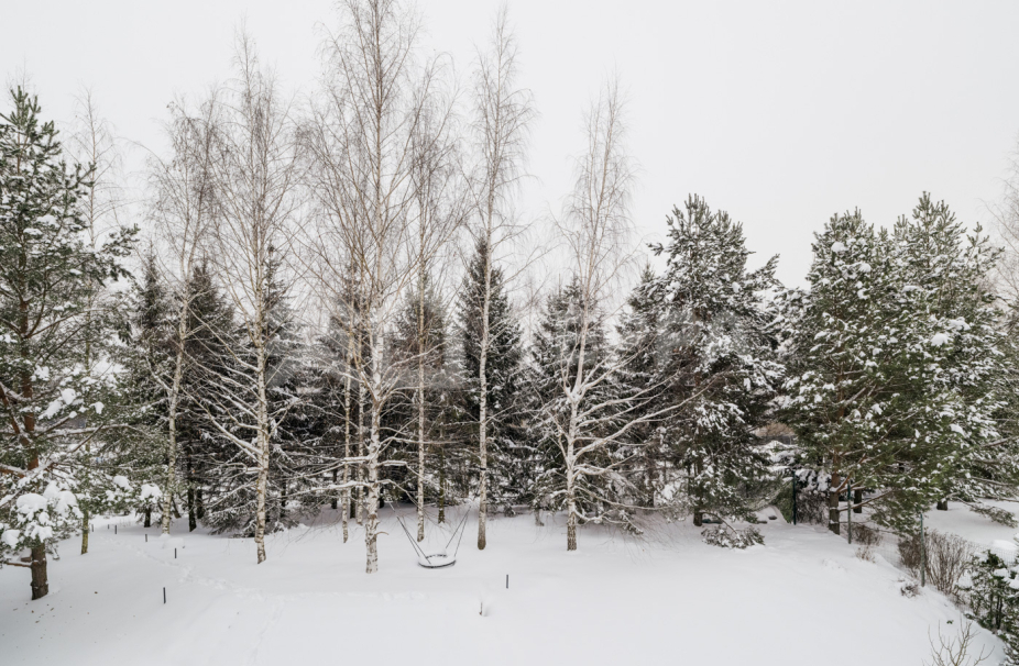 Объект ID 19031 - Дом