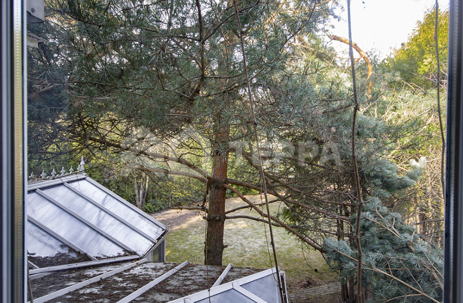 Объект ID 12738 - Дом