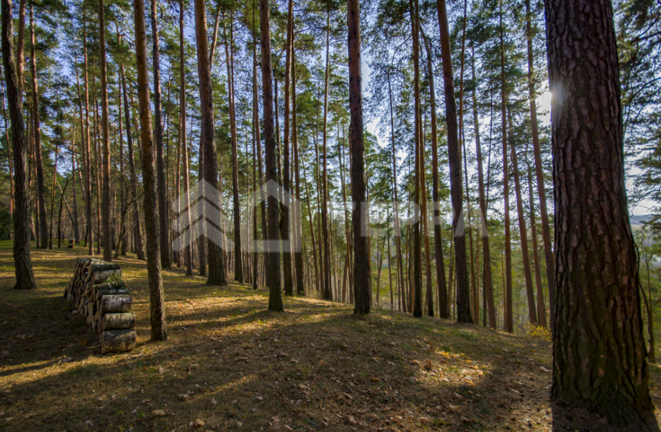 Объект ID 18287 - Участок