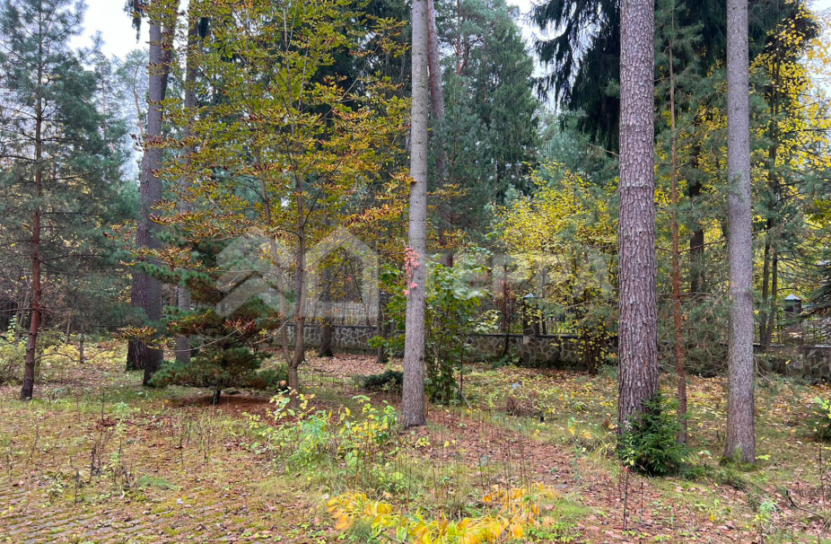 Объект ID 18445 - Участок