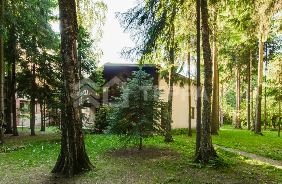 Объект ID 17126 - Дом