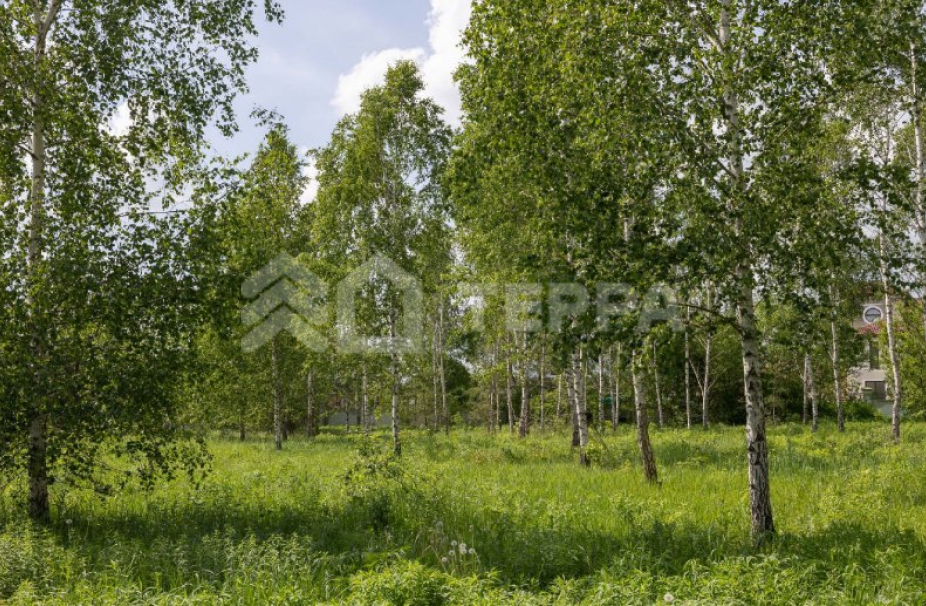 Ильинский ландшафт - 2