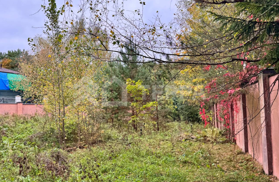 Объект ID 18869 - Участок