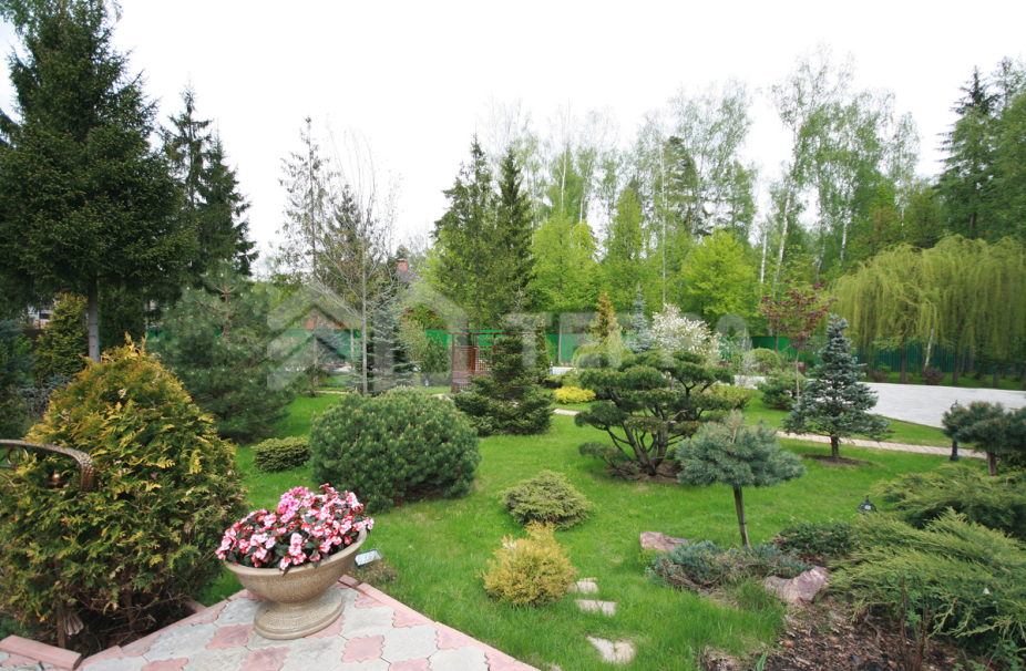 Лесной Простор-2