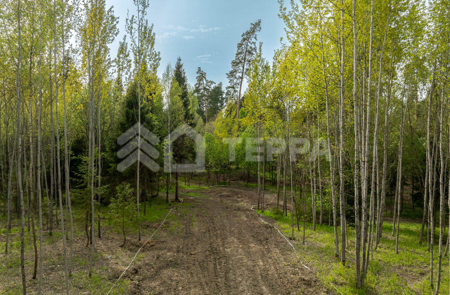 Объект ID 18571 - Участок