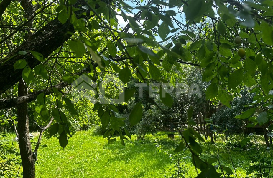 Объект ID 17735 - Участок