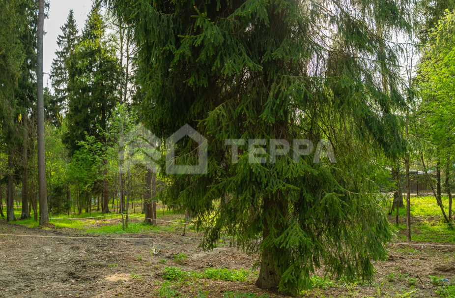 Объект ID 18567 - Участок