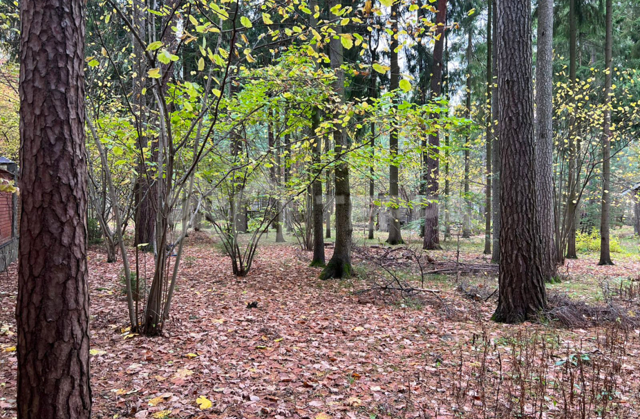 Объект ID 18445 - Участок