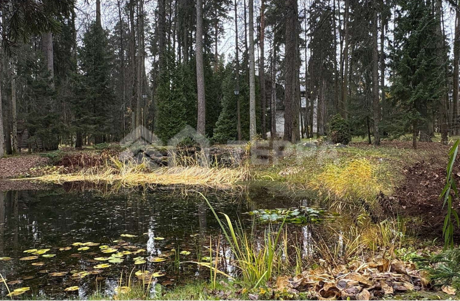 Объект ID 19034 - Участок