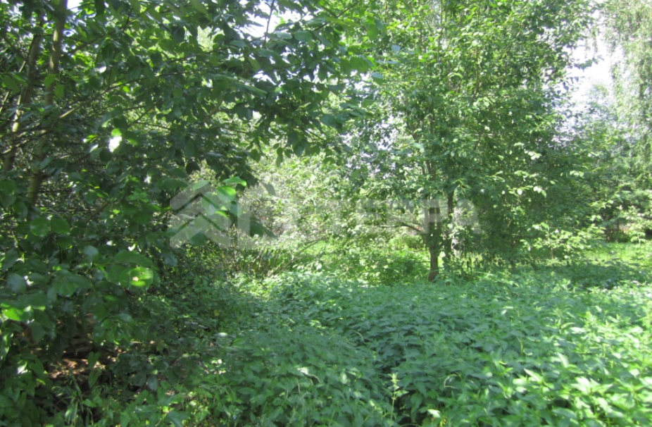 Объект ID 8559 - Участок