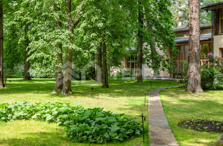 Объект ID 8224 - Дом