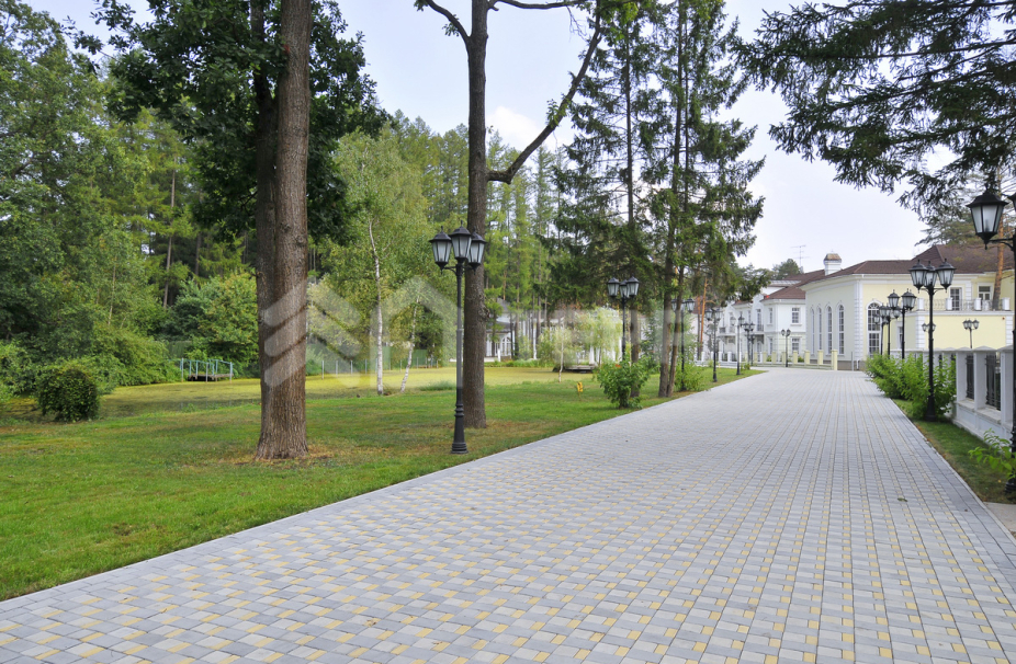 Лебединое озеро (к/п Большого театра)