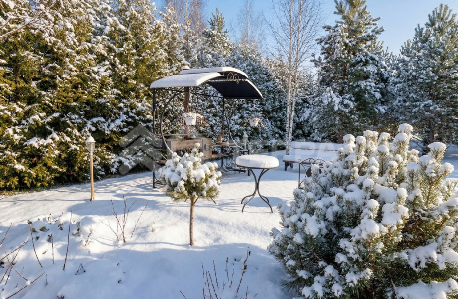 Объект ID 19124 - Участок