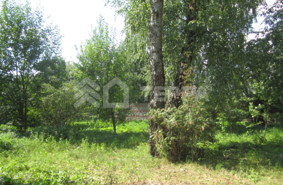 Объект ID 8559 - Участок