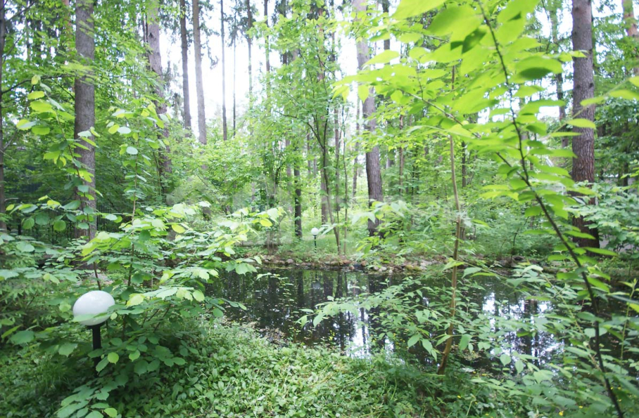 Объект ID 9395 - Дом