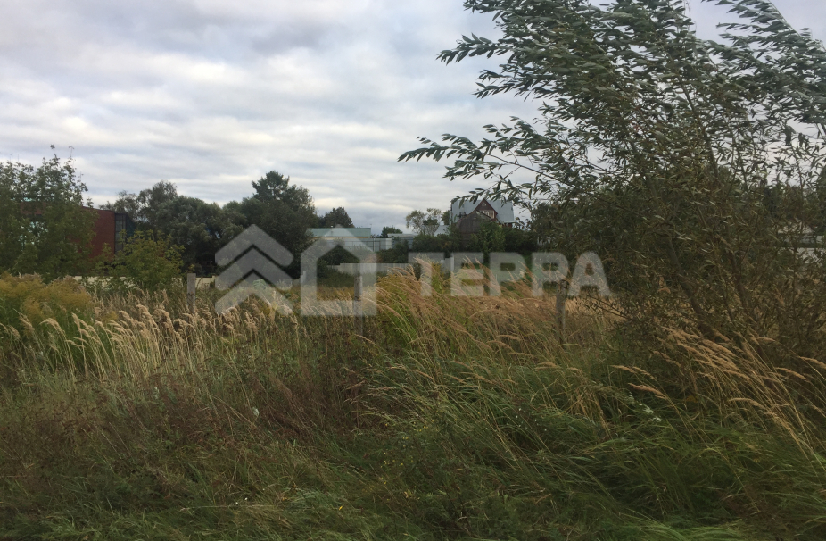 Объект ID 2248 - Участок